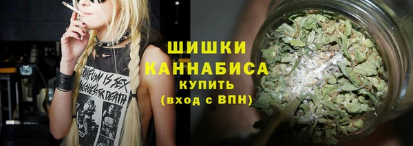 спиды Болотное