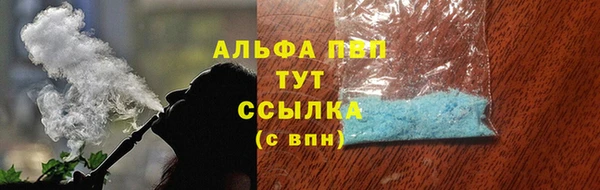 спиды Болотное