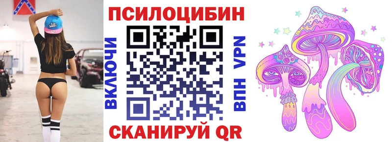 Псилоцибиновые грибы Magic Shrooms  Купить закладки  Дорогобуж 